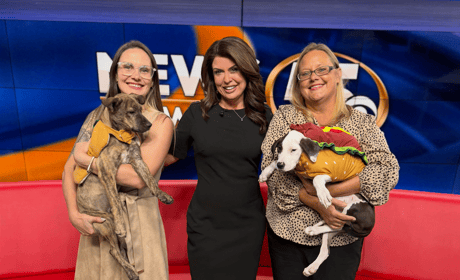 wkrg